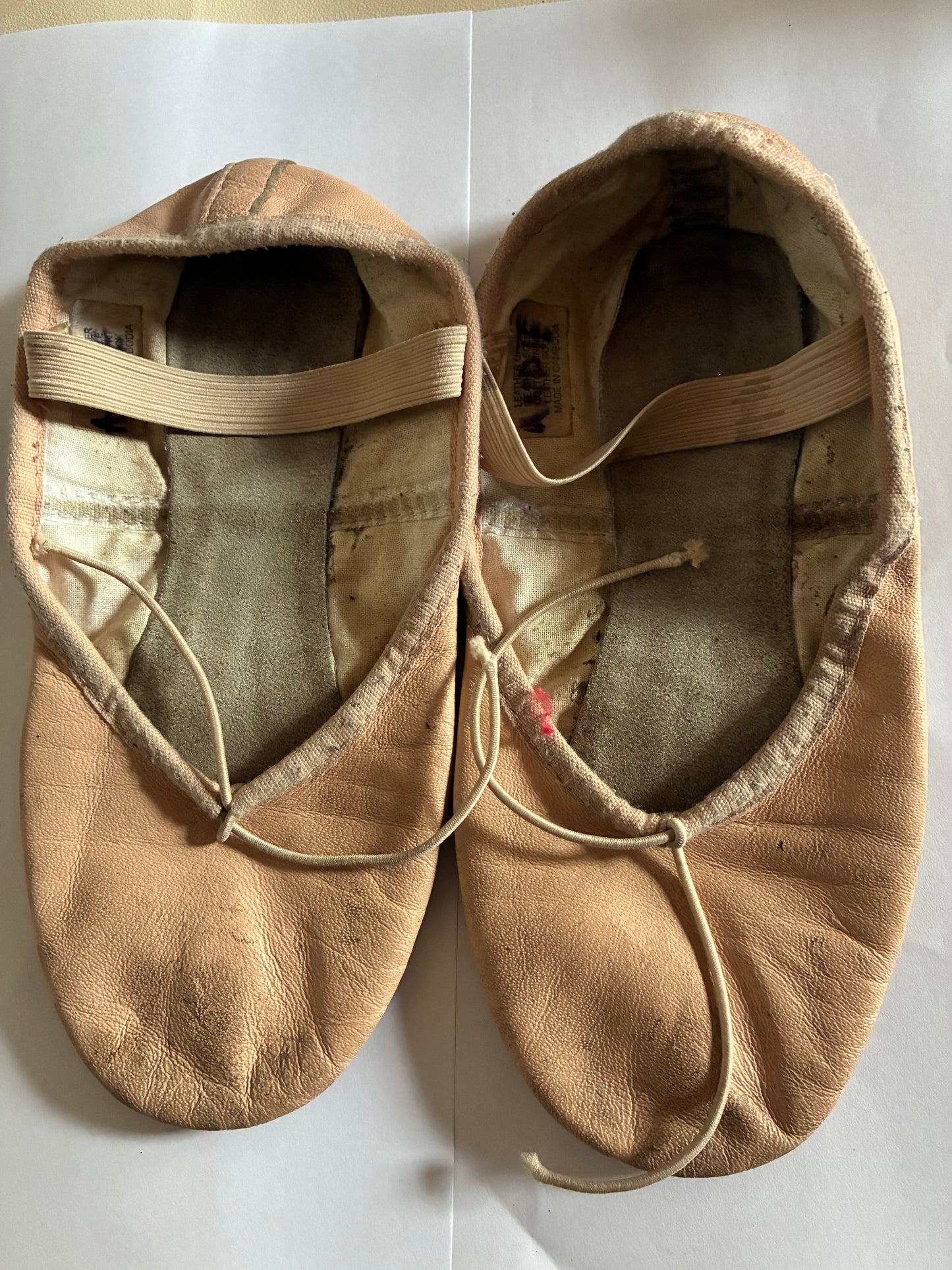 Bloch Dansoft Leather Girls Ballet Full Sole - Size Child 1C